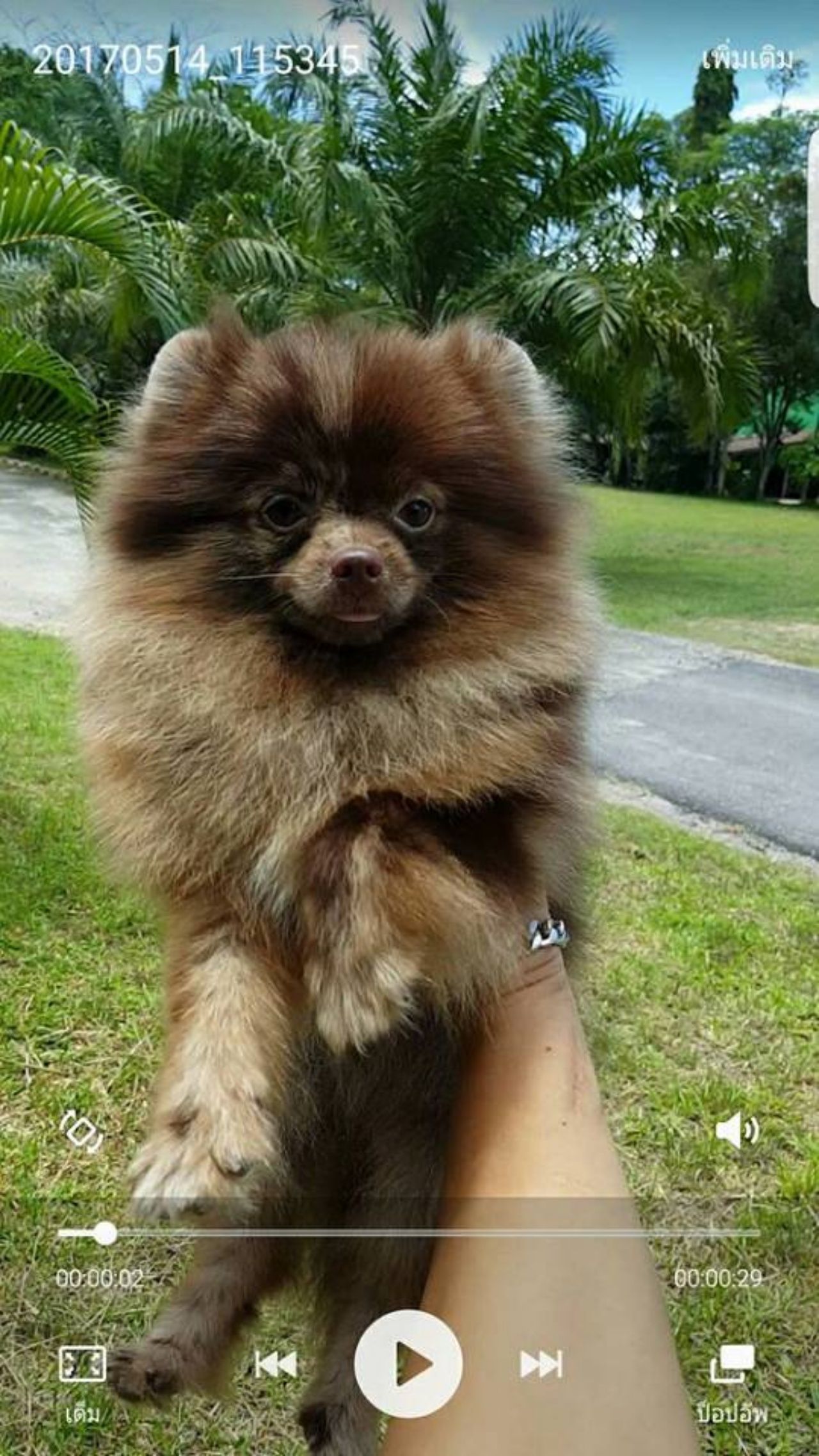 ก่อนส่งให้ลูกค้านายแพทย์ 