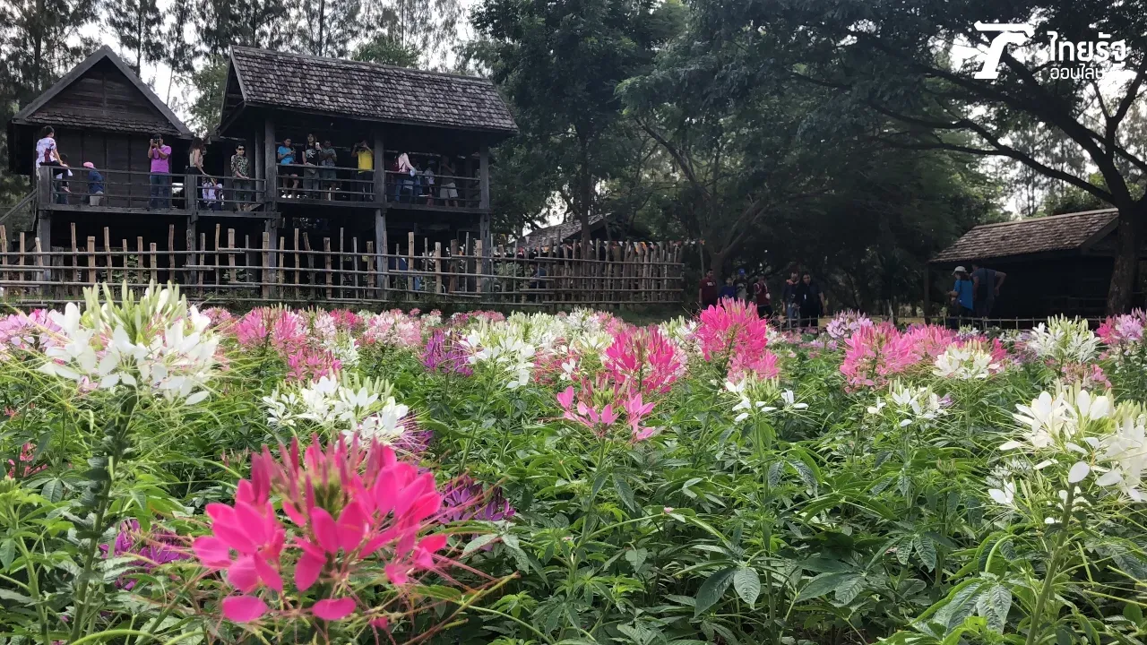 รีวิวชัด! กล้อง 'iPhone X' ถ่ายรูปสวย คุ้มราคากว่าสี่หมื่นหรือไม่?