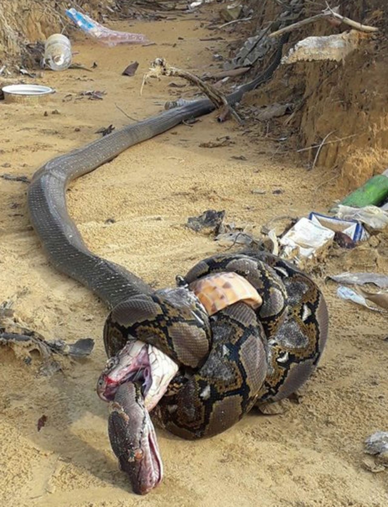 ภาพจากเฟซบุ๊ก:Mathew Hampton 