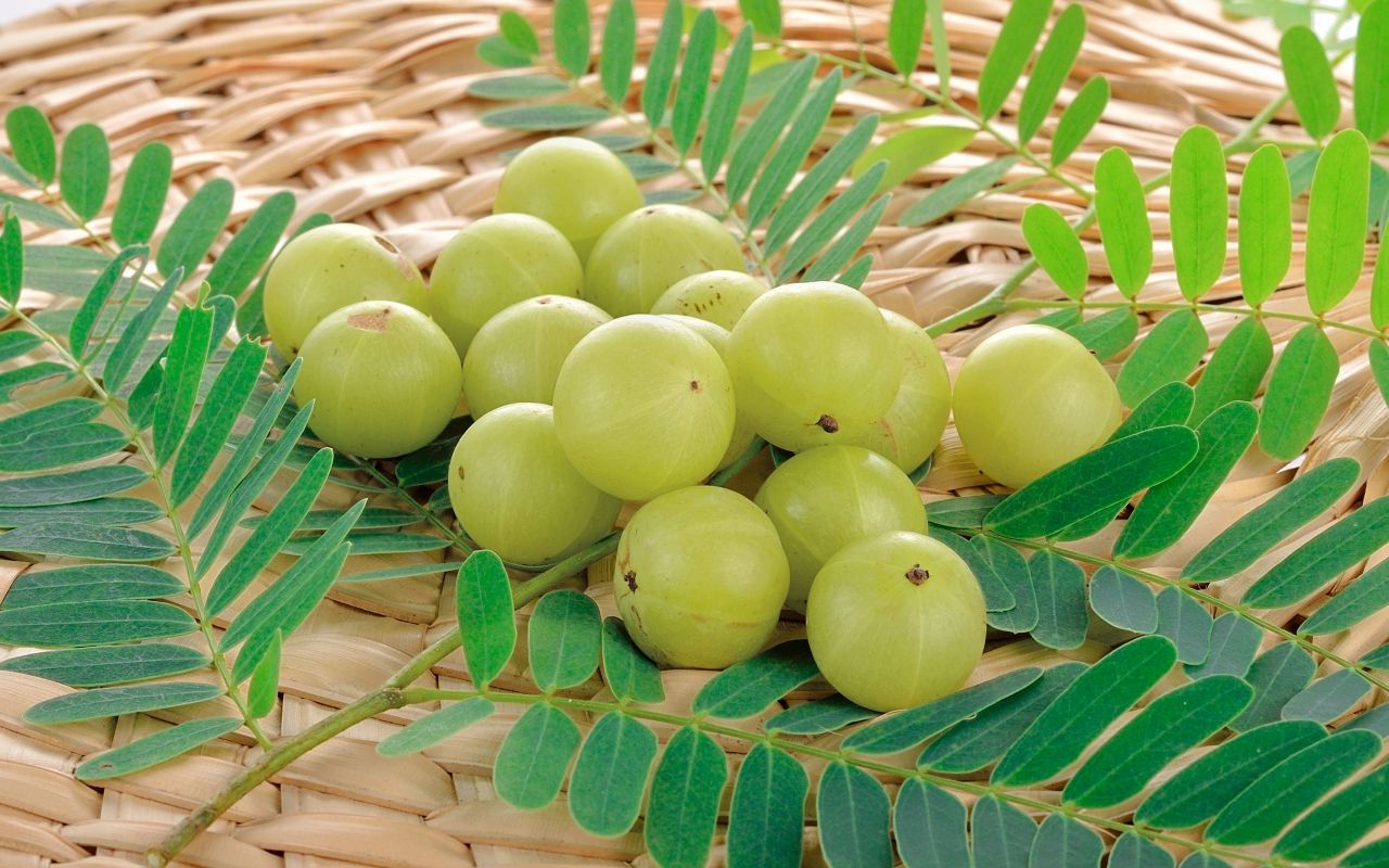 มะขามป้อม