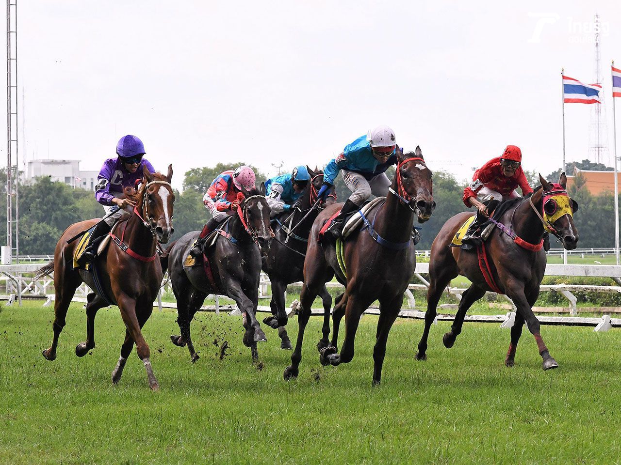 การแข่งม้า ที่สนามม้านางเลิ้งวันสุดท้าย 16 ก.ย.61