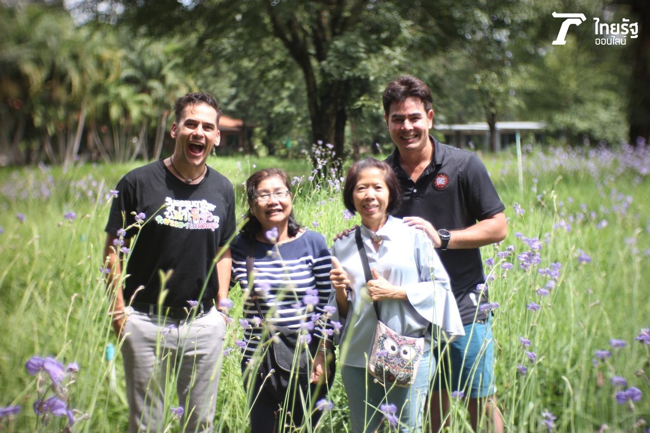 ม่วงสวยสดละลานตา ทุ่งดอกหงอนนาค กำลังบานสวยมากๆ ที่ศักดิ์สุภารีสอร์ท 