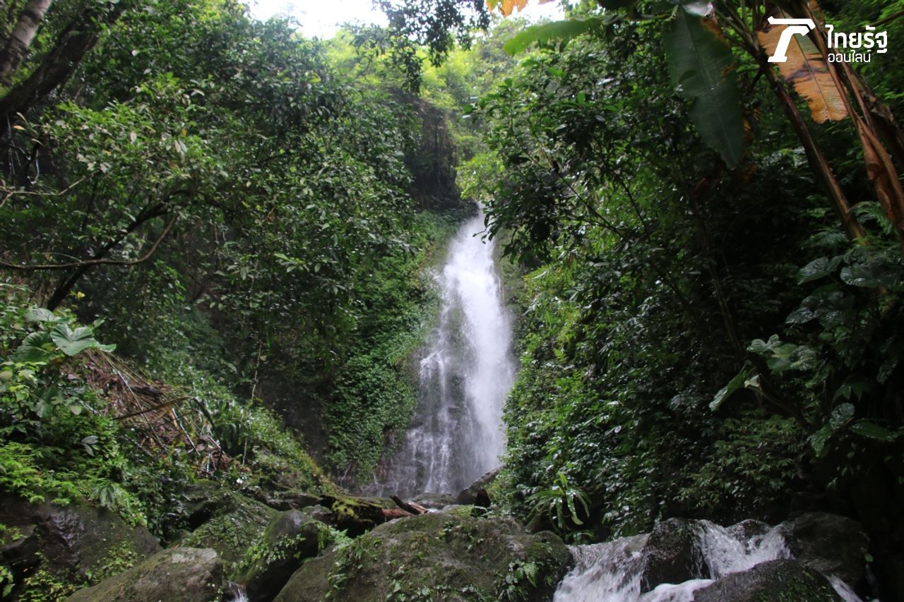 ท่ามกลางป่ามรดกโลกมี น้ำตกผางามงอน อันสวยงามยิ่งซุกซ่อนอยู่ 