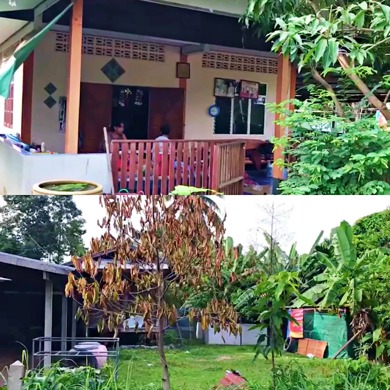 บ้านของแม่เสี่ยอ้วน หรือบ้านเกิดของเสี่ยอ้วน