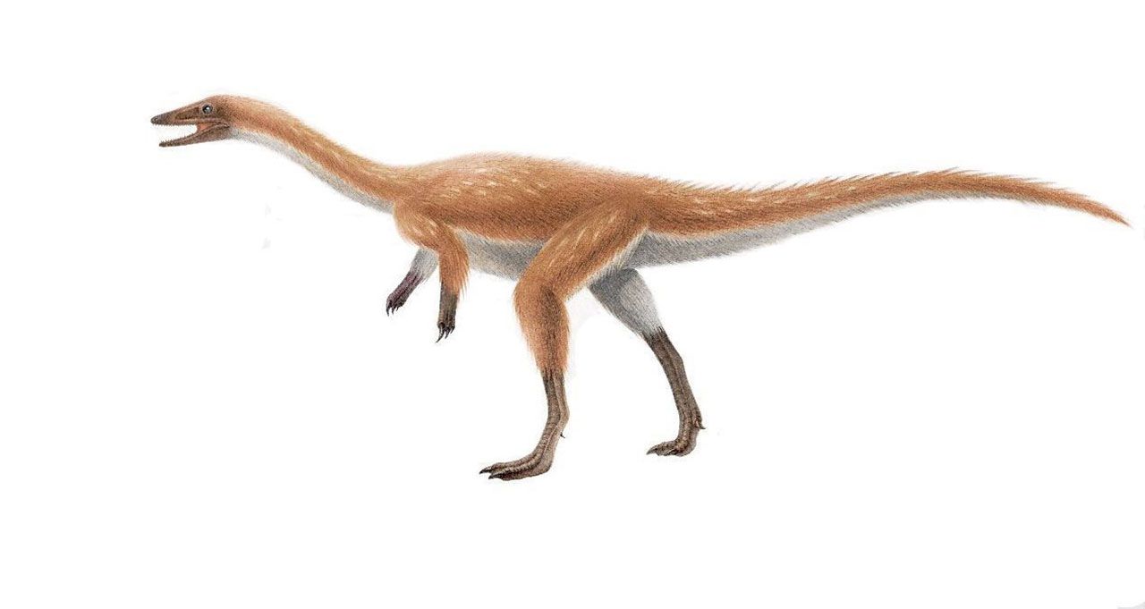 Bannykus resoration. Credit : SHI Aijuan