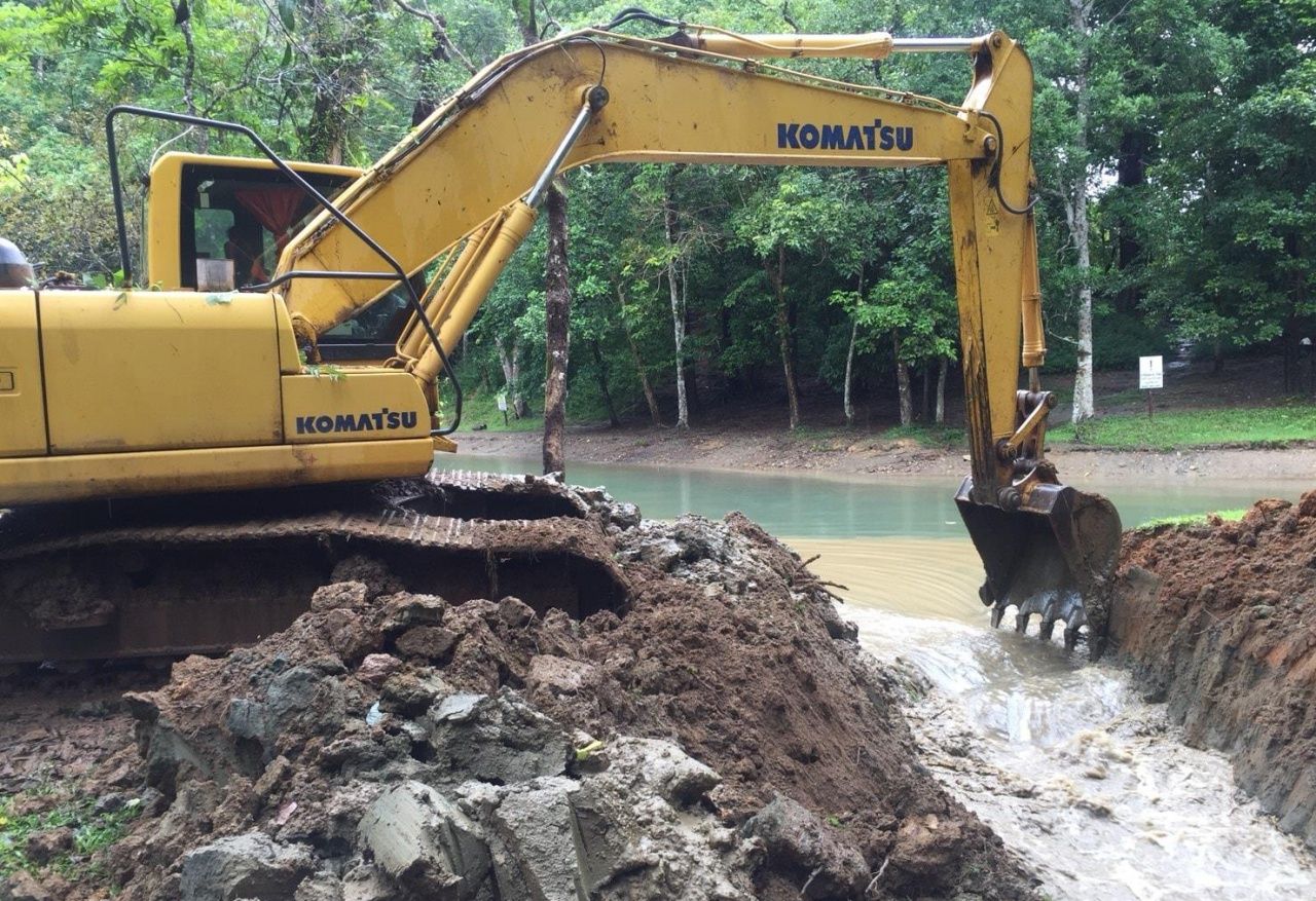 (ภาพจาก : กรมอุทยานแห่งชาติ สัตว์ป่า และพันธุ์พืช)