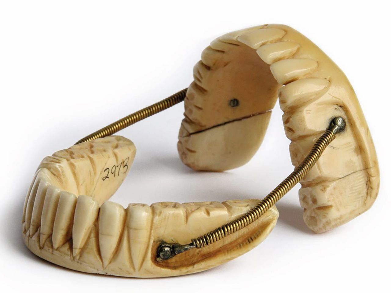 ฟันปลอมแกะสลักจากงาช้าง