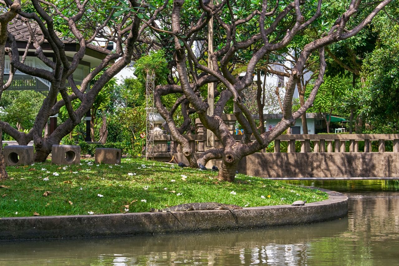 สวนสราญรมย์