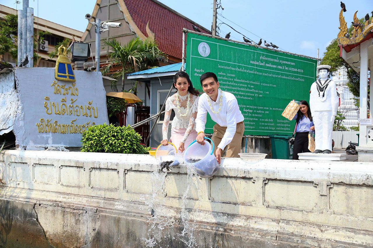 ชวนกันปล่อยปลา.