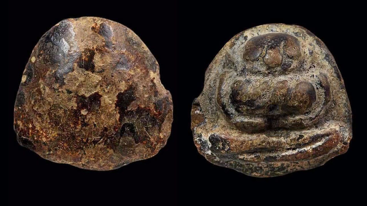 พระสังกัจจายน์ เนื้อ ผงคลุกรัก หลวงพ่อแก้ว วัด เครือวัลย์ ของโจ๊ก ลำพูน.