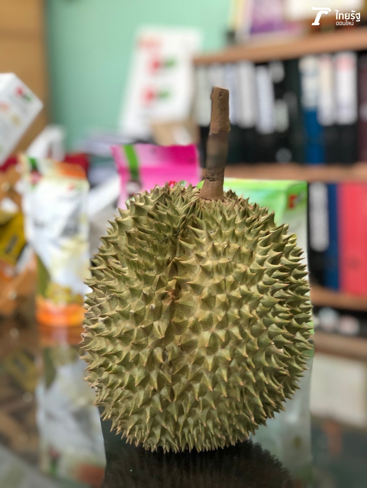 ทุเรียน “พันธุ์กบชายน้ำ” ของแท้ต้องตั้งได้