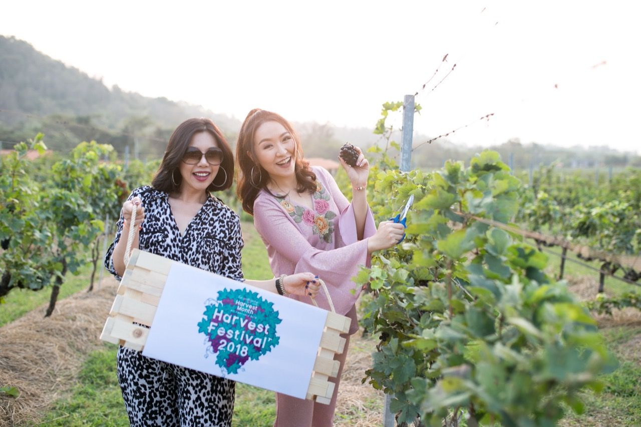 โบว์-ณชา จึงกานต์กุล สนุกสนานกับการเก็บอุง่น กับเพื่อนสาว