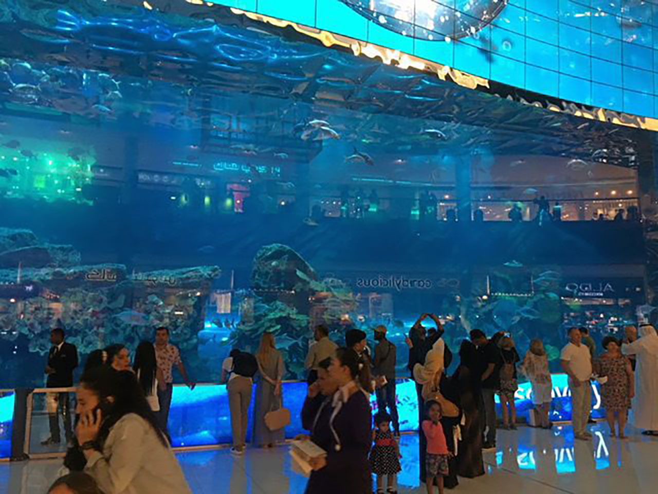 Dubai Aquarium พิพิธภัณฑ์สัตว์น้ำที่ใหญ่ที่สุดในโลก.