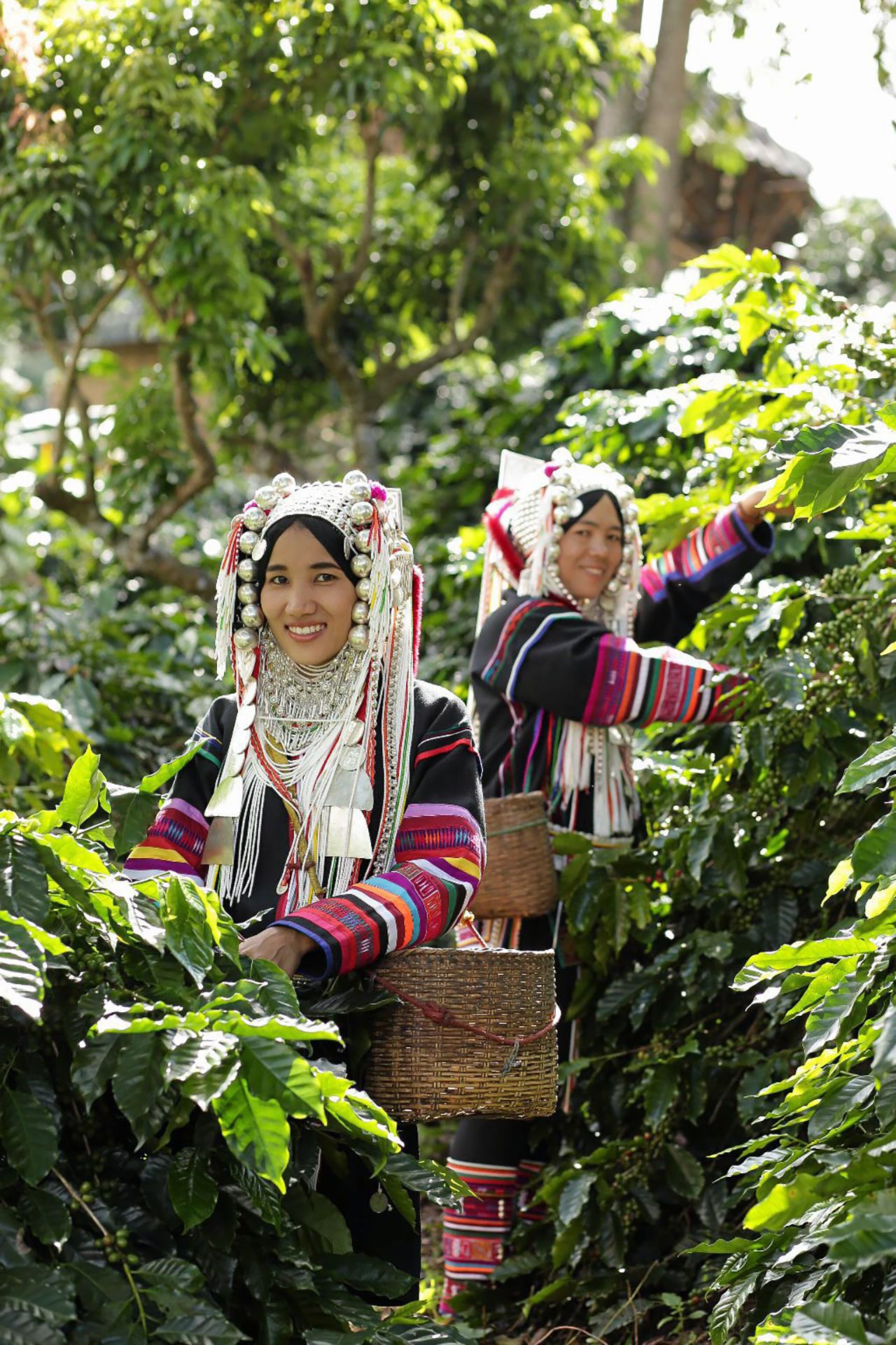 ไร่กาแฟในอ้อมกอดของขุนเขา.