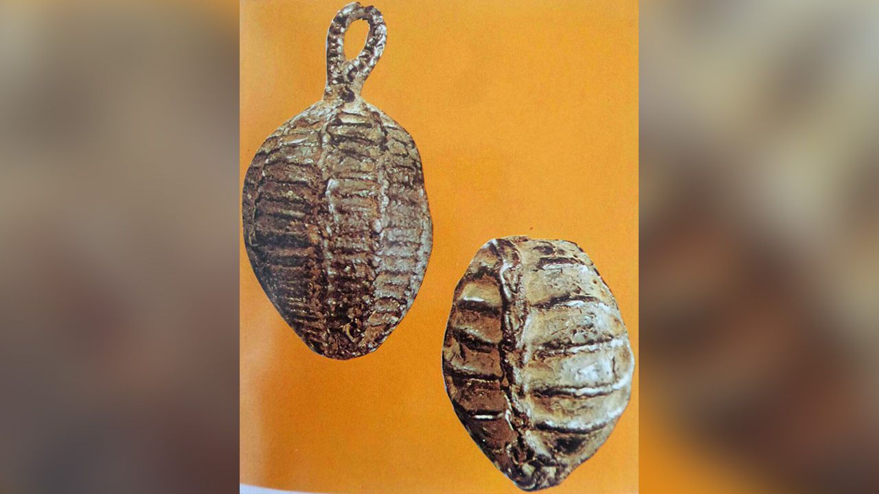 หมากทุย หลวงปู่เอี่ยม วัดหนังฯ.