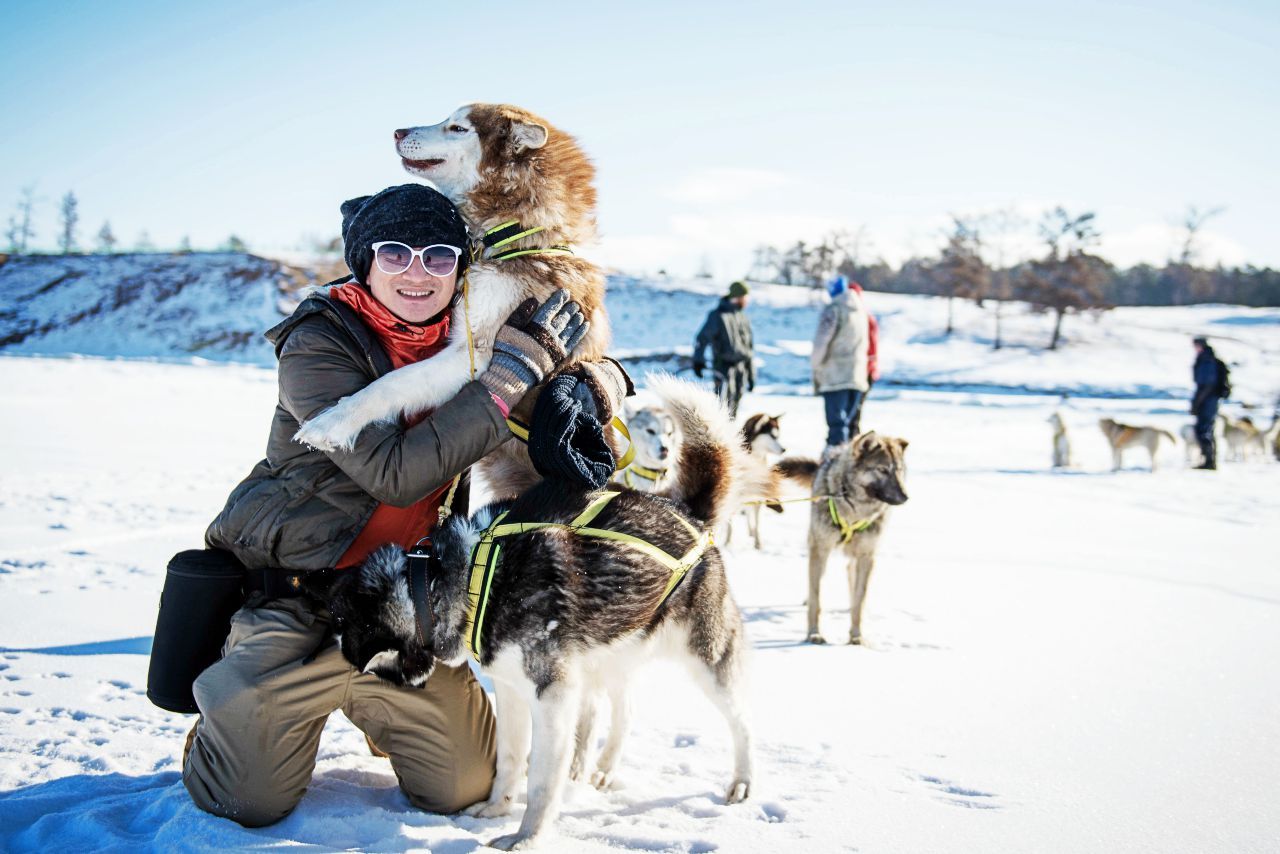 สุนัขลากเลื่อนน่ารักทุกตัว