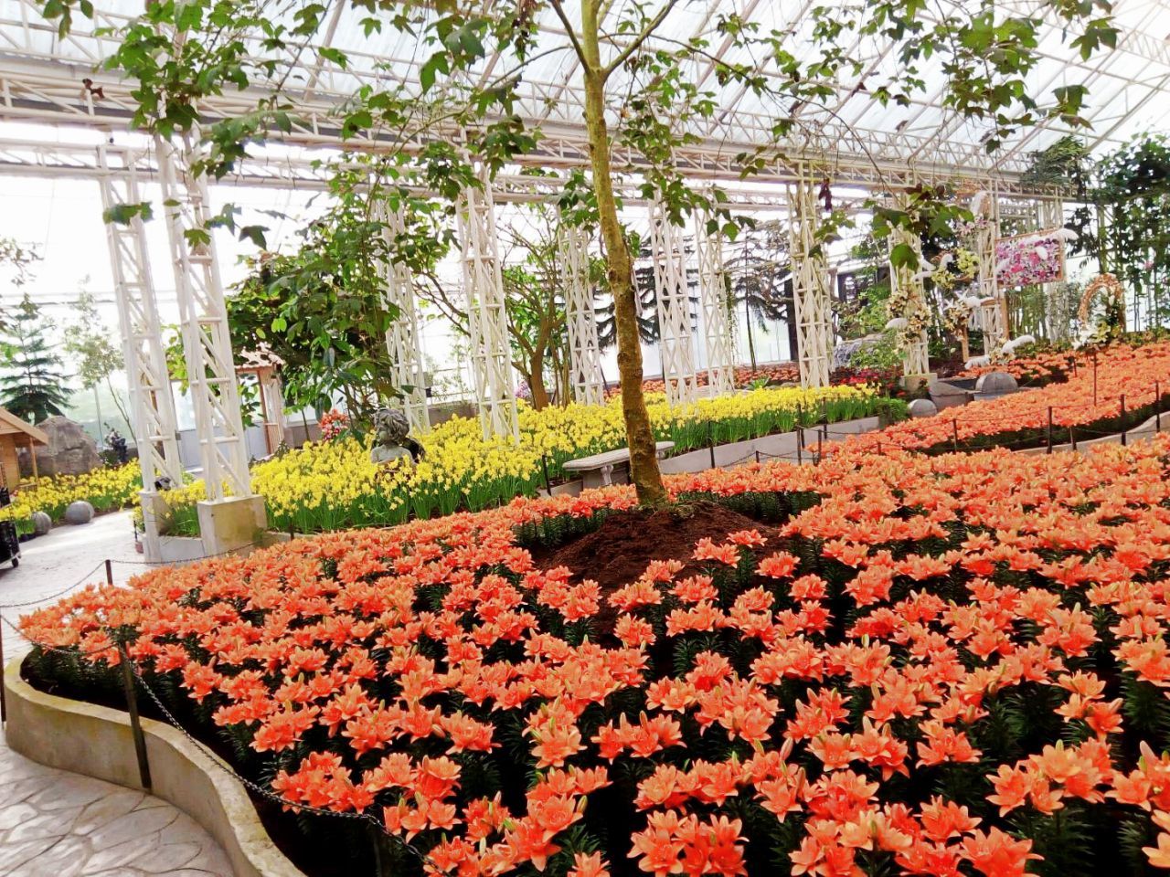 สีสันตระการตามากๆ