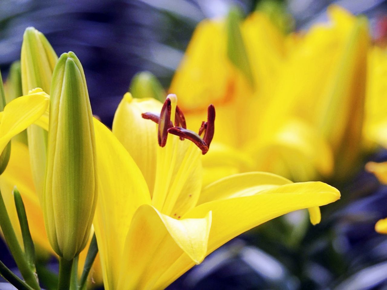 สีสันสดใสจริงๆ 