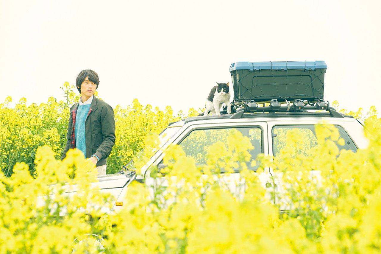 ซาโตรุกับนานะบนทุ่งดอกไม้ 