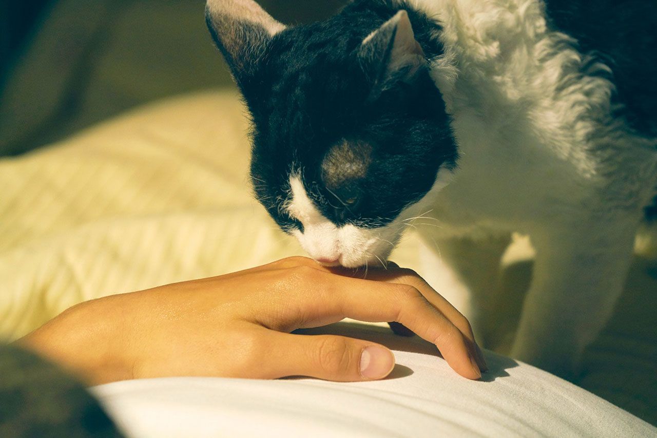 กำลังใจสำคัญของซาโตรุ