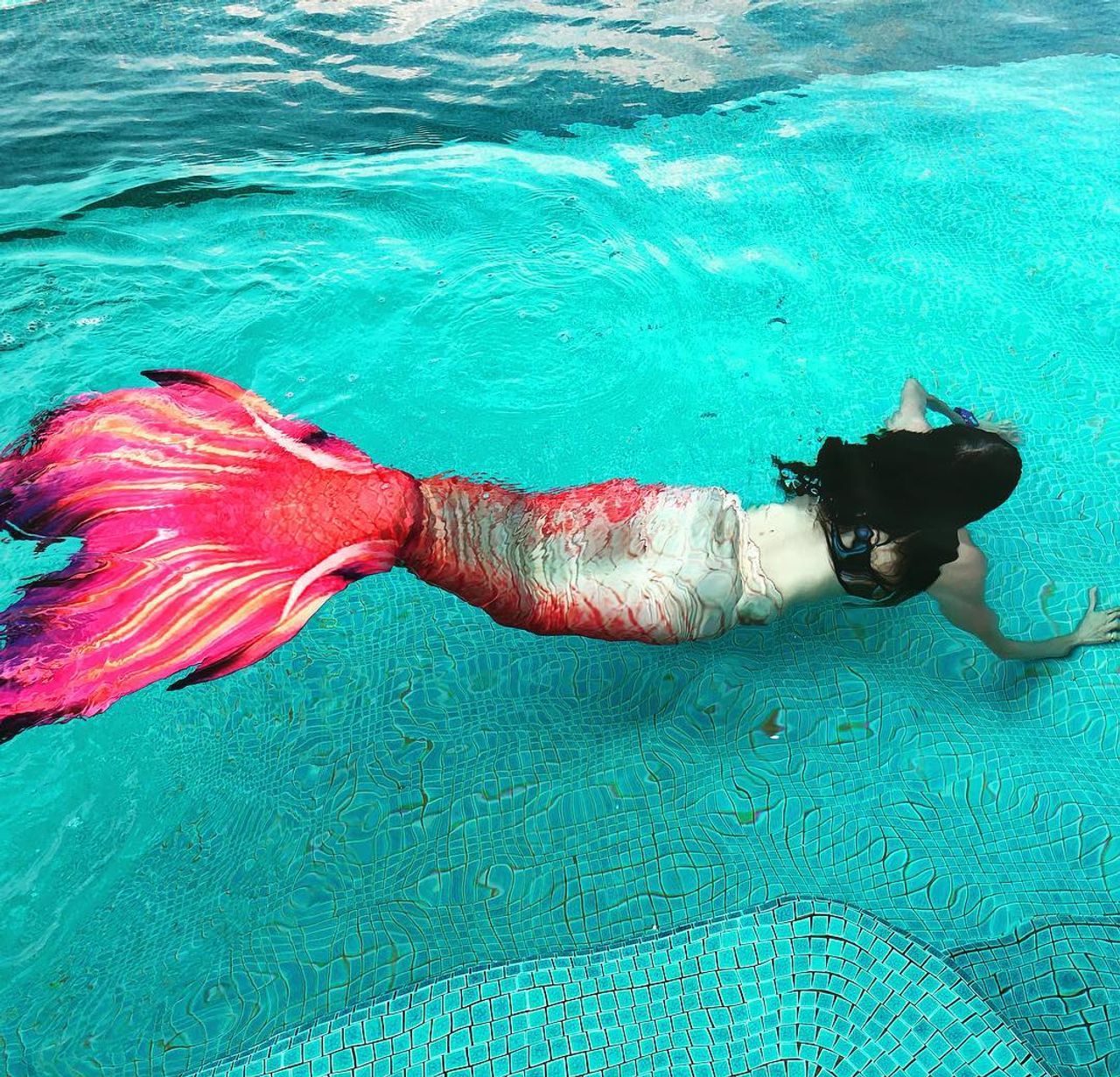 ขอบคุณภาพจากไอจี @nusbapunnakanta