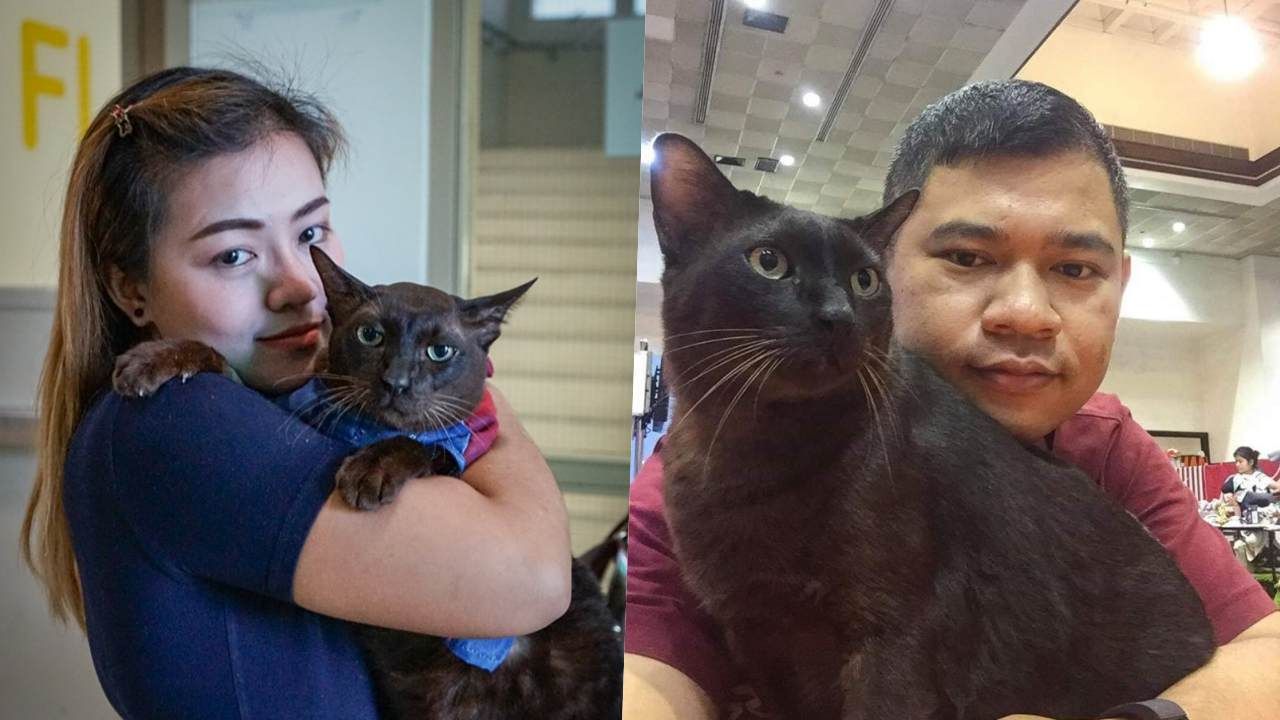 โยมแม่และโยมพ่อ