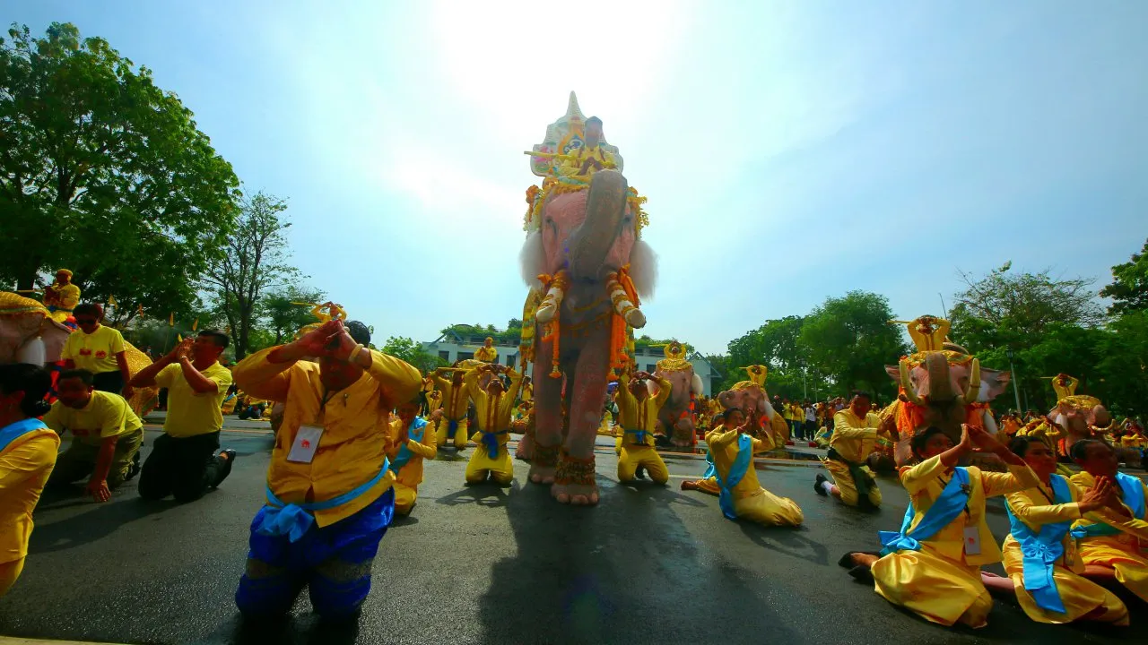 กลุ่มคชสารคู่แผ่นดิน นำช้างเดินเทิดพระเกียรติ ในหลวง ร.10 