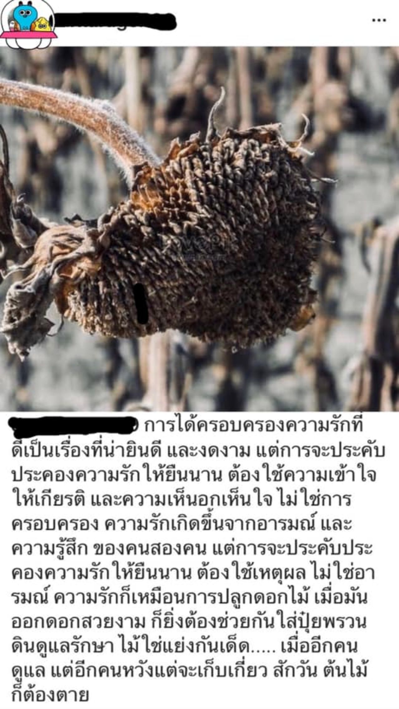 ภาพจากเพจ Poetry of Bitch