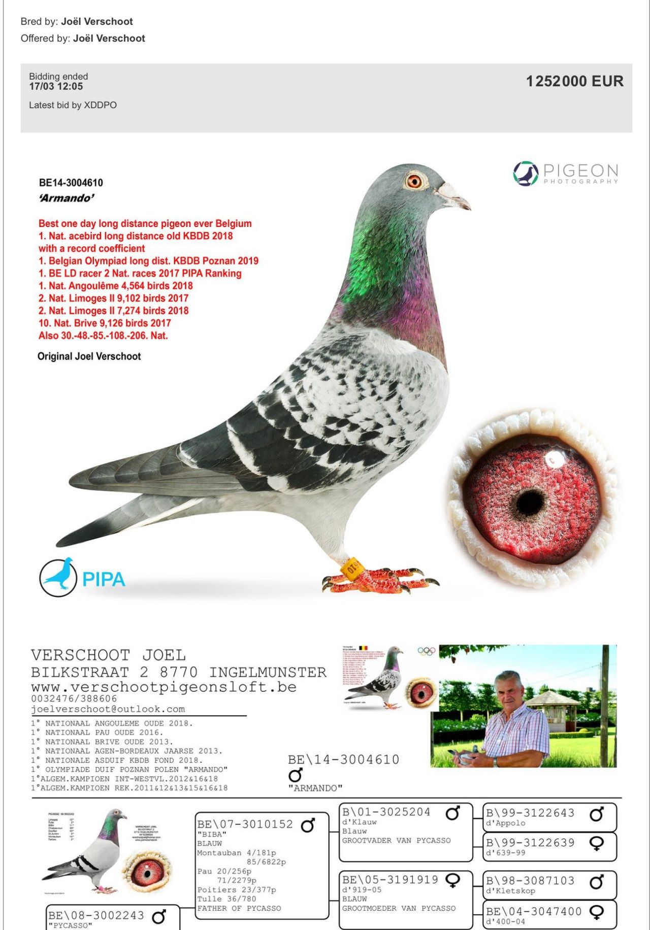 เครดิตภาพชมคลิป https://auctions.pipa.be/en/auction/2019-03-joel-verschoot-be/96813/armando