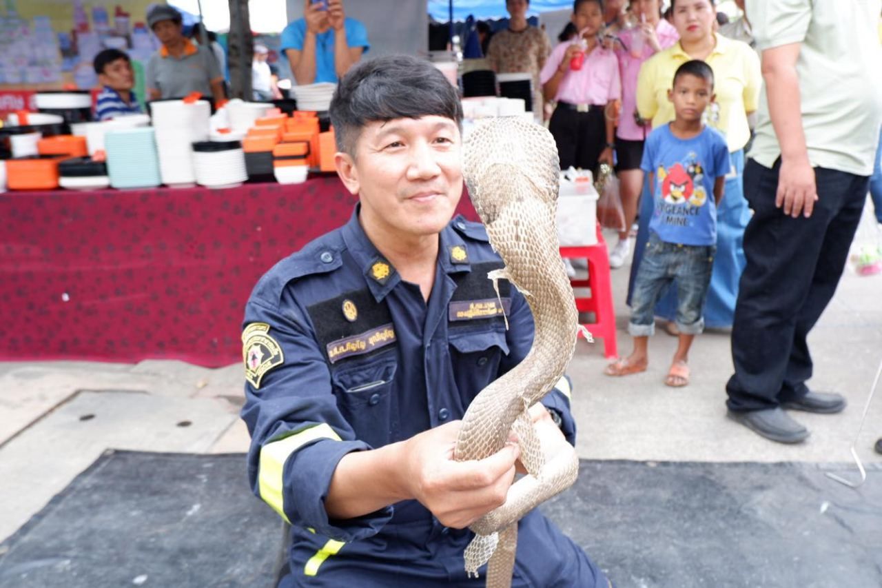 จ.ส.ต.ภิญโญ และงูเห่าของเขา