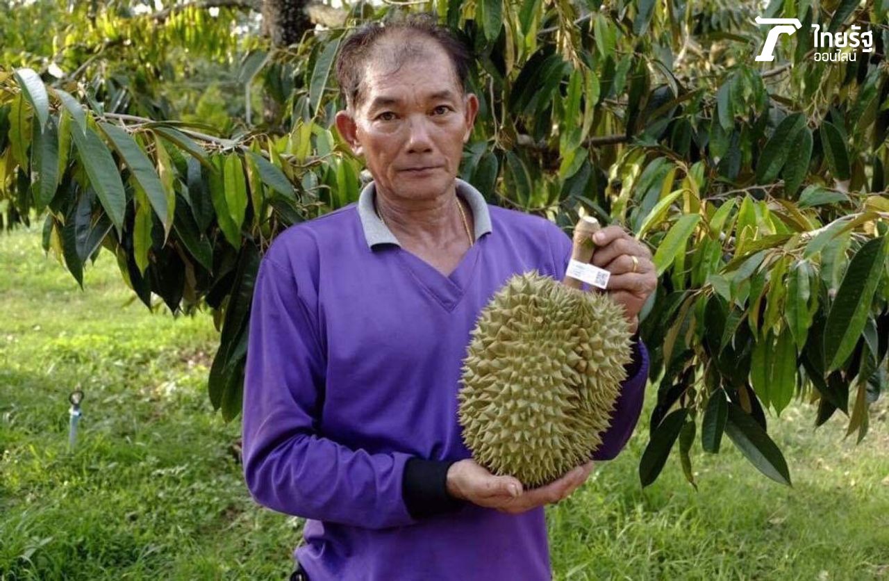 ผู้ใหญ่ณรงค์ ศุภผล เจ้าของสวนณรงค์ฟาร์ม จ.จันทบุรี