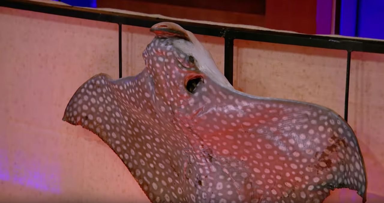 “ปลากระเบน” 