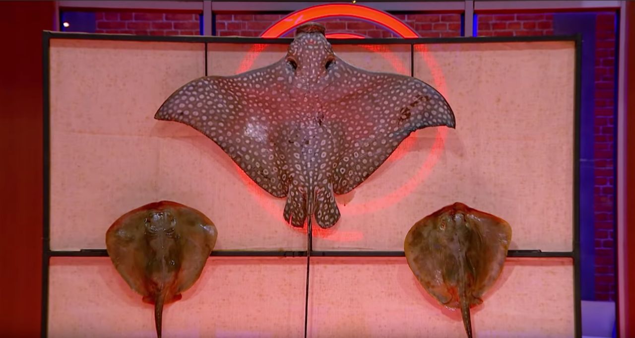 “ปลากระเบน” 