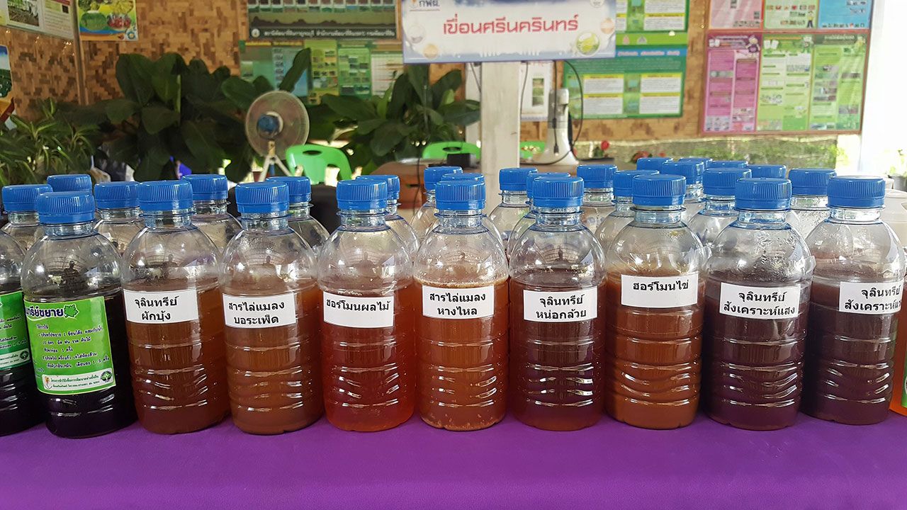 ใช้สารธรรมชาติแทนสารเคมี.