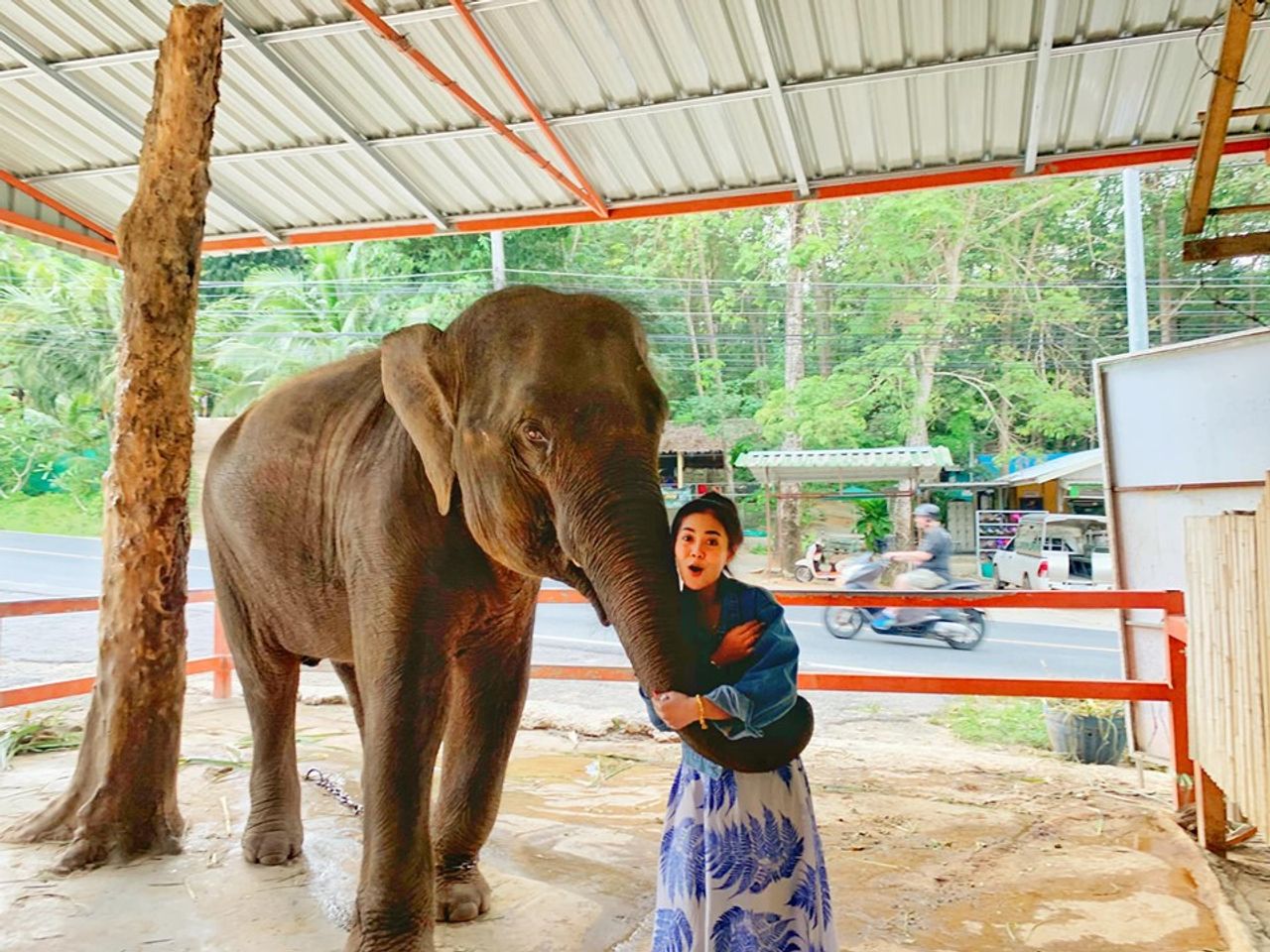 ลำไย ไหทองคำ ขอบคุณภาพจากเฟซบุ๊ก ลำใย ไหทองคำ