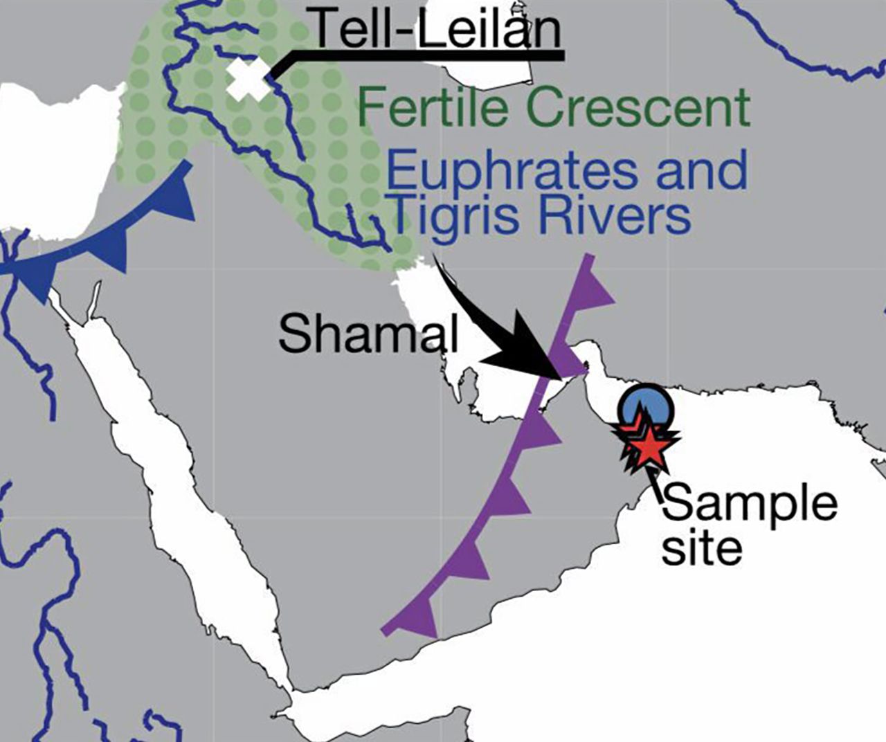 ภาพจาก : Watanabe T.K. et al, The Geological Society of America. September 2, 2019