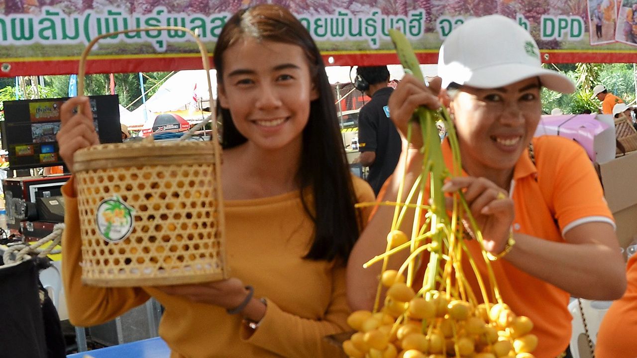 ส่วนหนึ่งของเจ้าของสวนอินทผลัมที่นำผลผลิตมาจำหน่ายในงาน และต่างดีใจที่มีผู้สนใจเข้าชมงานกันมาก พร้อมทั้งซื้ออินทผลัมหมดทุกวัน.