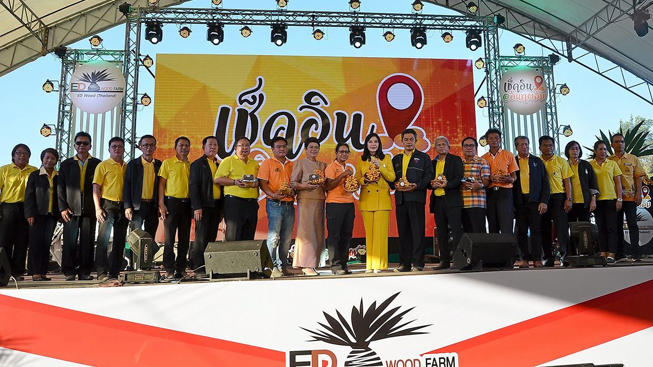 น.ส.มนัญญา ไทยเศรษฐ์ รมช.เกษตรและสหกรณ์ เป็นประธานในงาน “เปิดสวนอินทผลัมแห่งประเทศไทย” และเปิดตลาดอินทผลัม ที่ไร่อินทผลัมบ้านสวนสระเพลง หมู่ 2 ต.สูงเนิน จ.สูงเนิน จ.นครราชสีมา โดยมี นางกรณิศ นวลละออง ประธาน บ.เอ็ดวูด ไทยแลนด์ จำกัด ประธานจัดงาน พร้อมด้วย นางปิยะฉัตร อินสว่าง รอง ผวจ.นครราชสีมา นายอภิชา เลิศพชรกมล ส.ส.นครราชสีมา เขต 9 นายพรชัย อำนวยทรัพย์ ส.ส.นครราชสีมา เขต 10 และ นายกังสดาล สวัสดิ์ชัย เกษตร จ.นครราชสีมา และ นายสุกฤษฎิ์ สุทธิจันทึก เจ้าของไร่ “บ้านสวนสระเพลง” พร้อมหัวหน้าส่วนราชการต่างๆ ร่วมงาน.