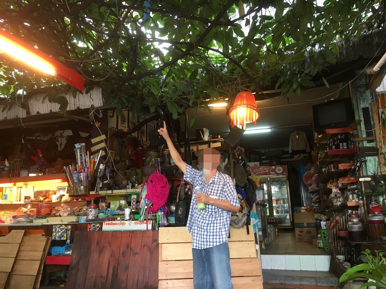 บิดาของ น้องนิวตัน ชี้จุดที่ร่างลูกชายทะลุพุ่มกระดังงาตกลงมา