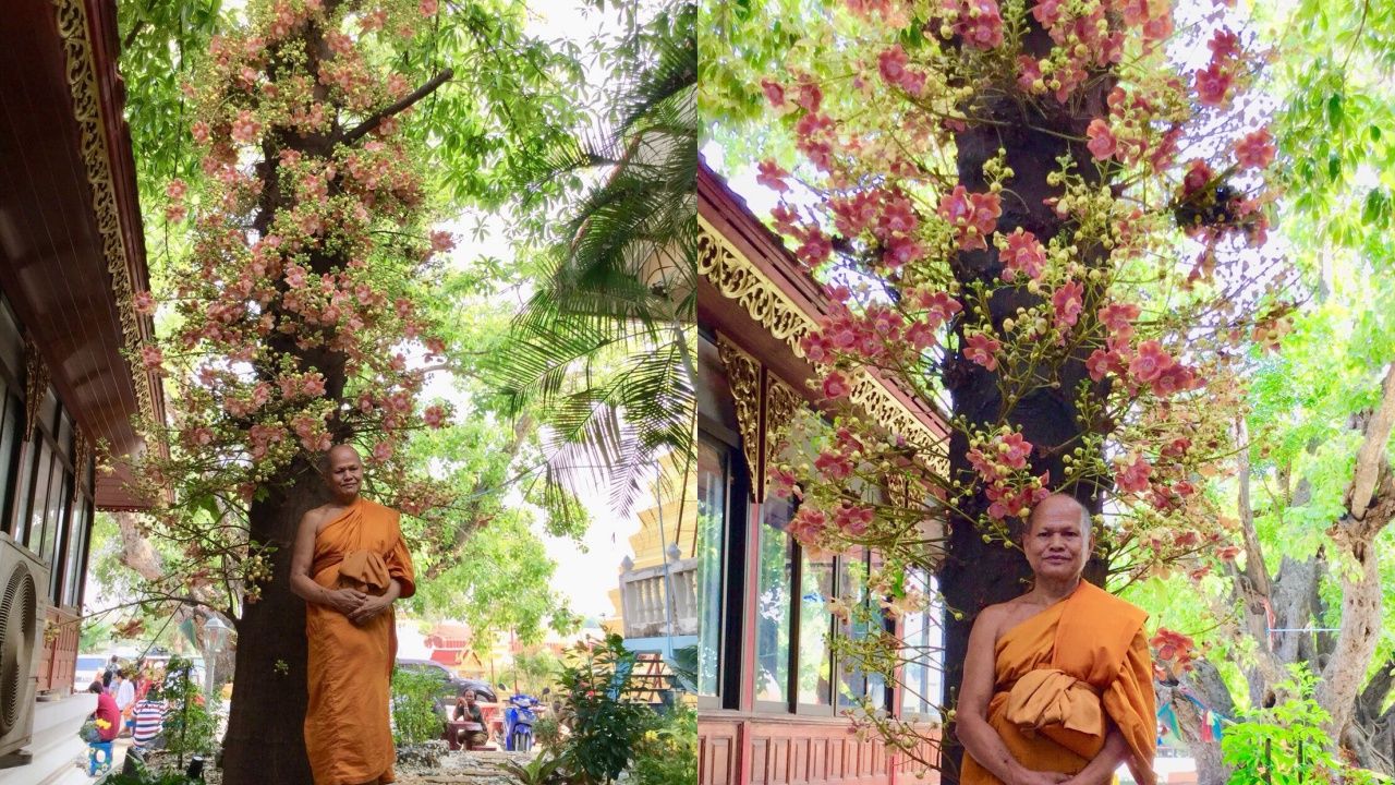 พระครูชินธรรมมาภรณ์ เจ้าอาวาส วัดสีกุก  