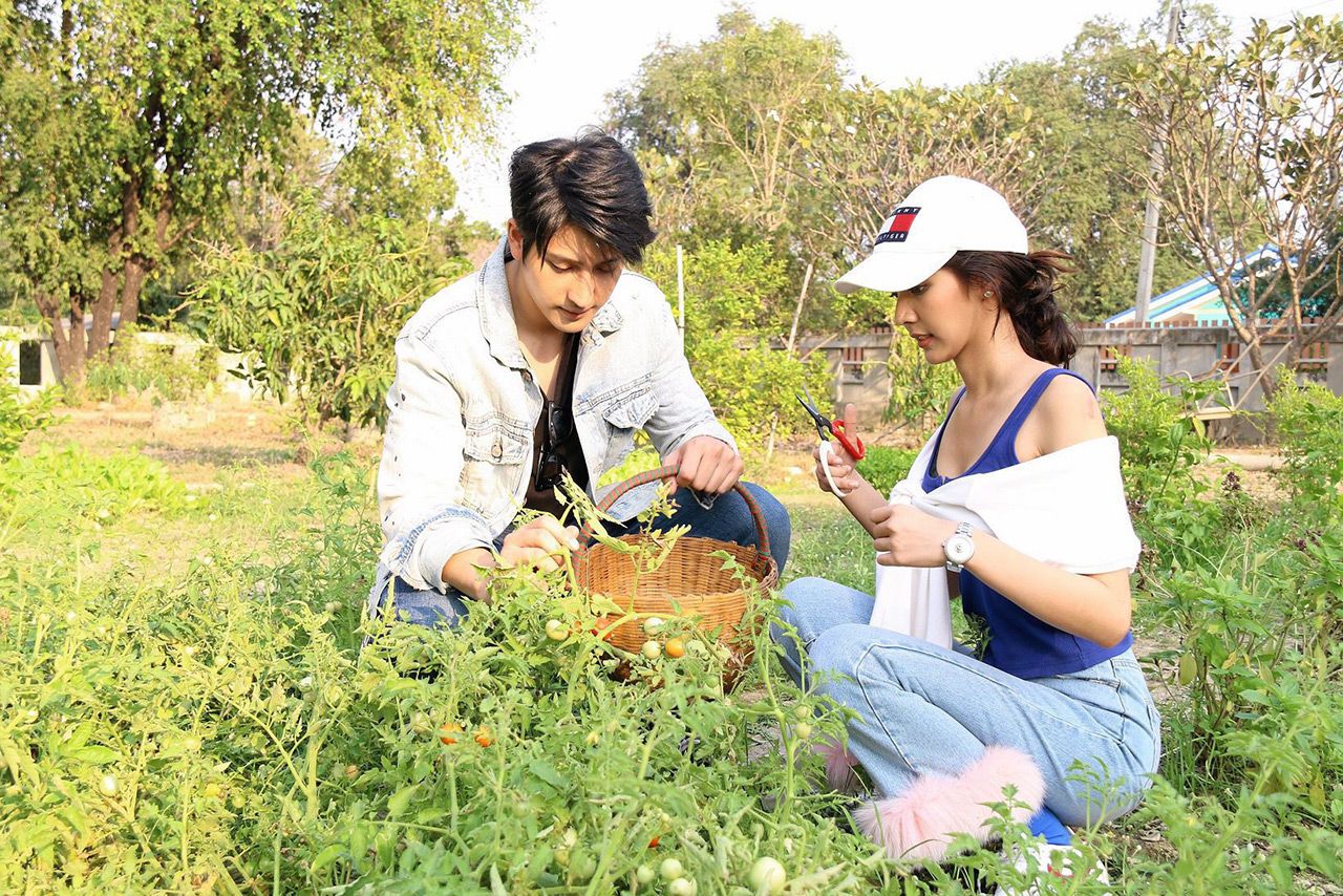 ‘เติม-พีพี’ ชมพืชผักสวนครัว.