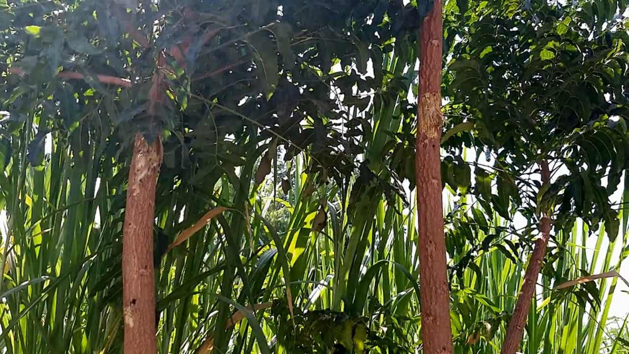 ป้ายแสดงเขตส.ป.ก.หาย