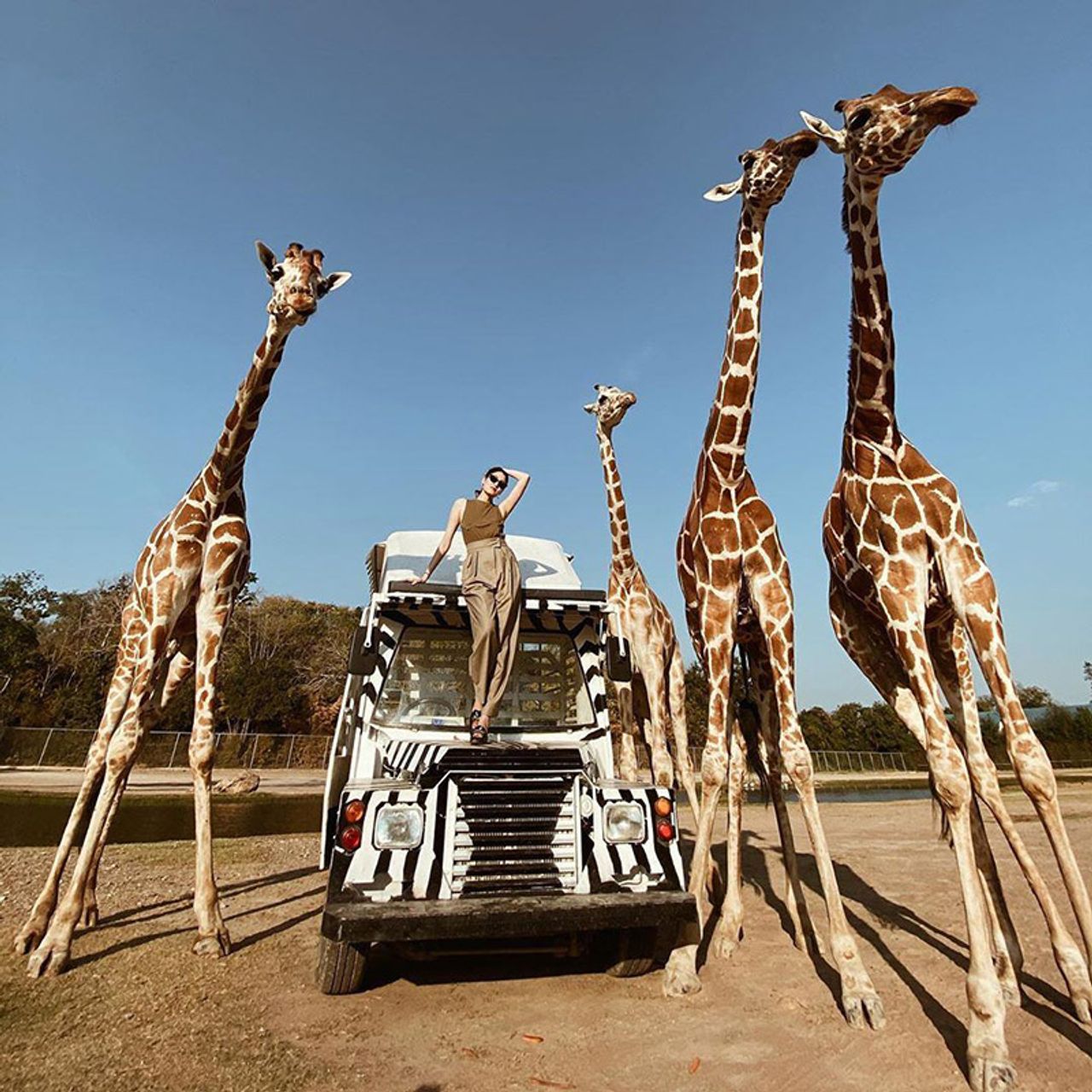 ขอบคุณภาพจากไอจี @margie_rasri