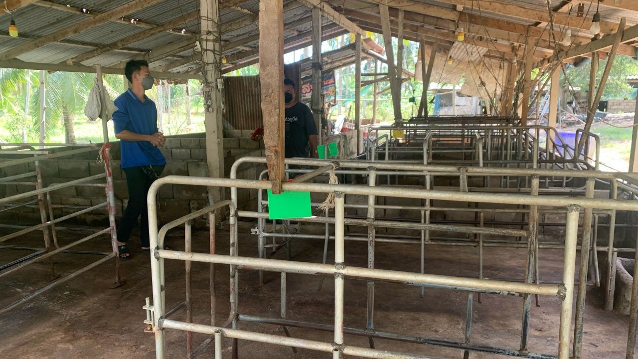 ฟาร์มเล็กๆ ที่กลายเป็นฟาร์มร้าง