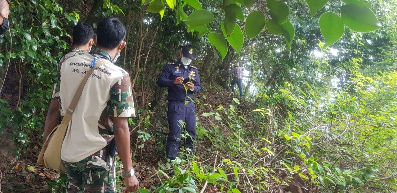 พื้นที่เป็นป่า ไม่มีพืชผลอาสินใดๆ