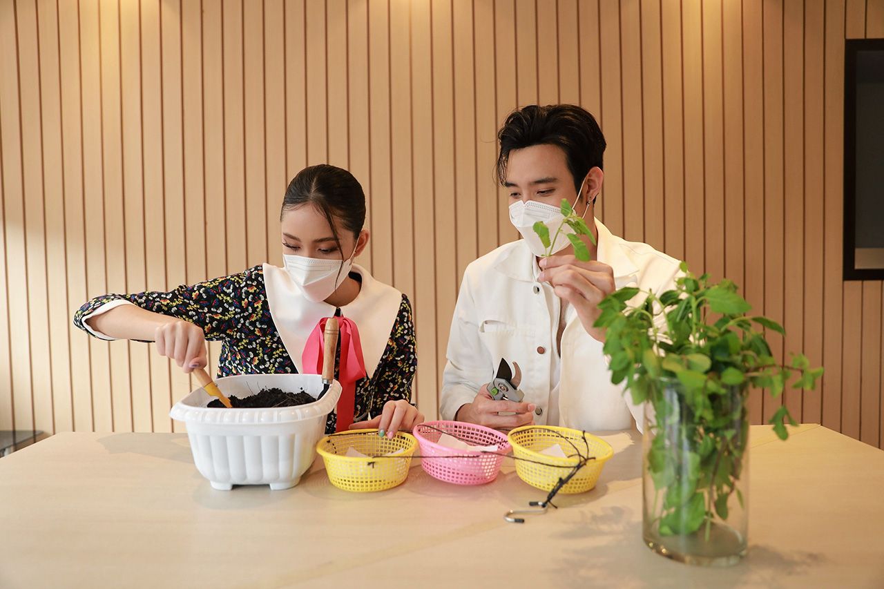 ‘ปิ่น’รับหน้าที่ปลูก