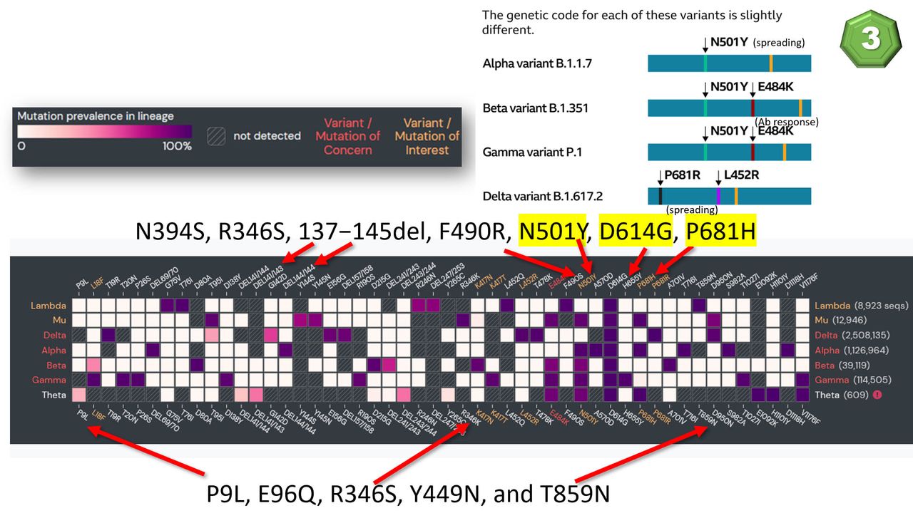 B.1.640.2 โควิดสายพันธุ์ใหม่รับปี 2022 อันตรายแค่ไหน