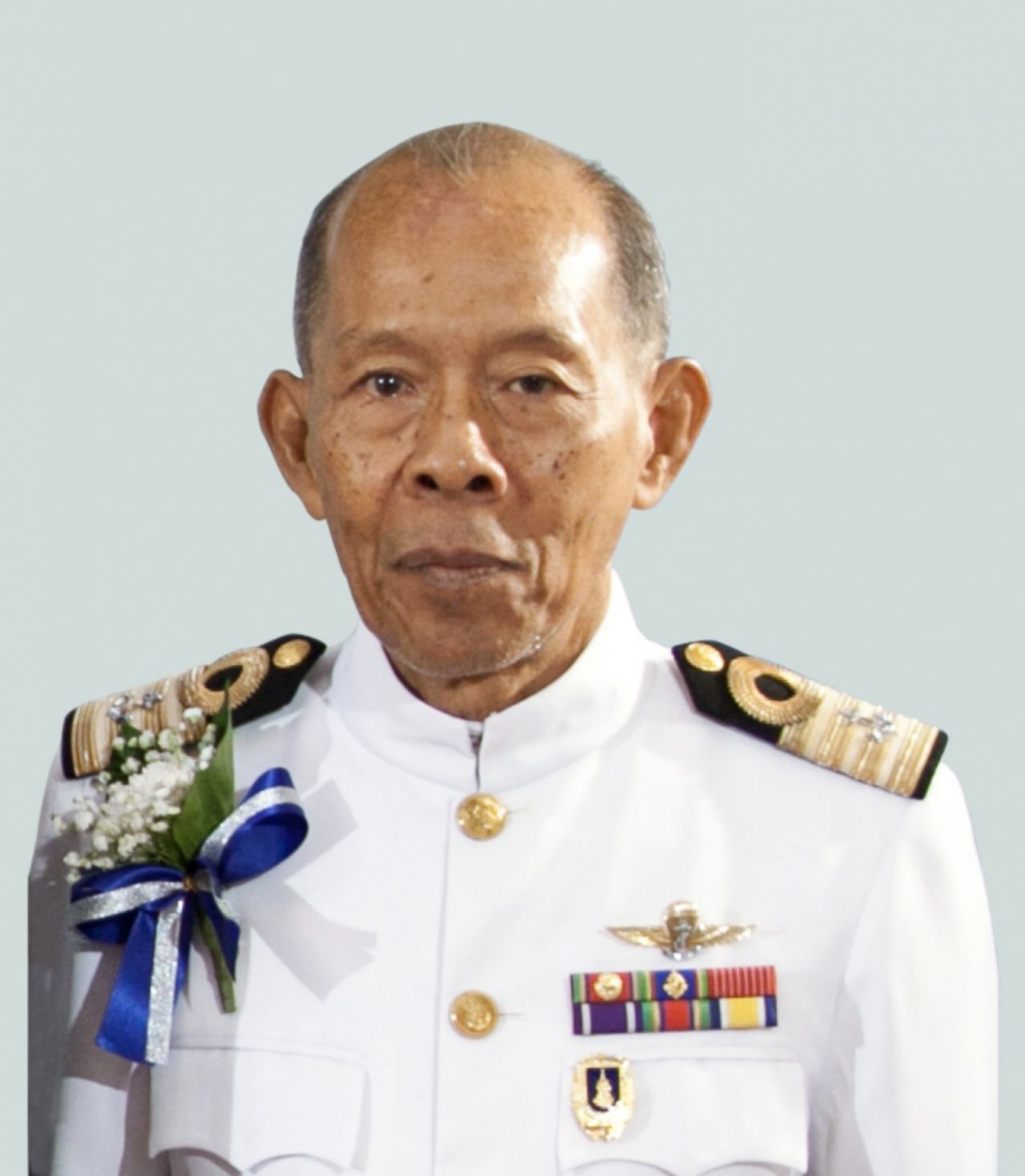 (ภาพ ทองย้อย แสงสินชัย จากเว็บไซต์กองทัพเรือ)