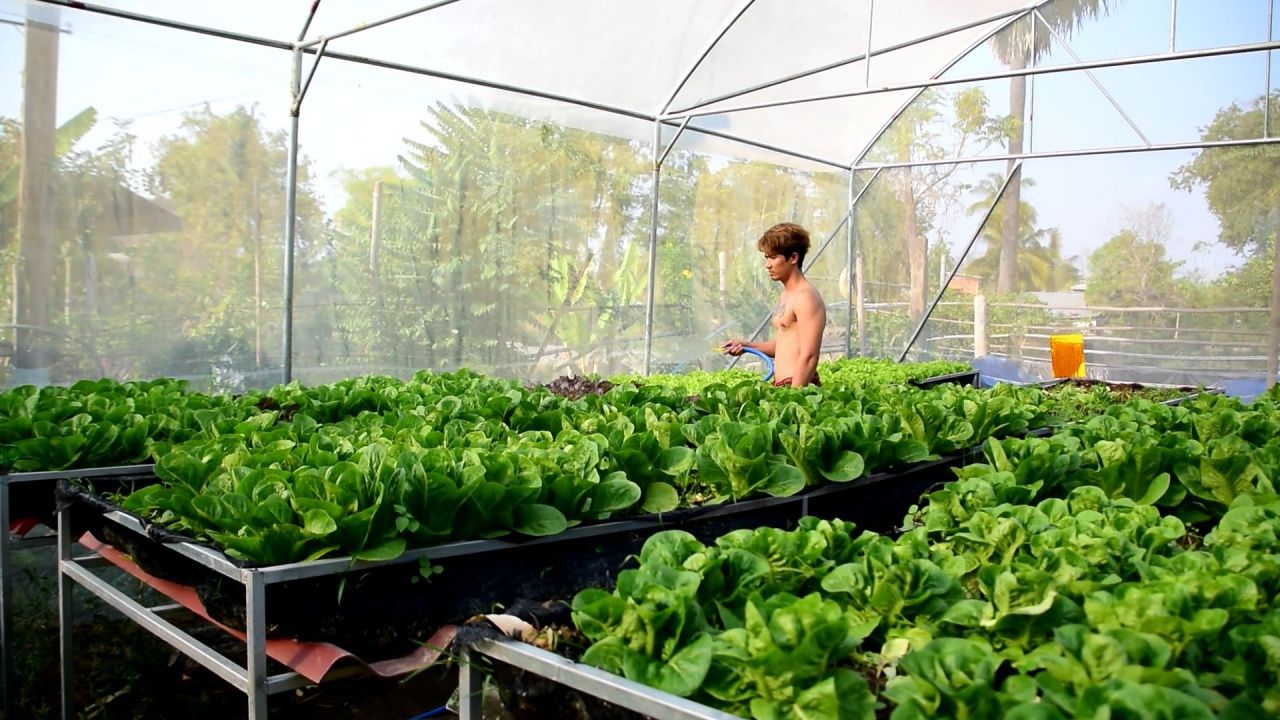 ใช้พื้นที่แค่ไม่กี่ตารางเมตร