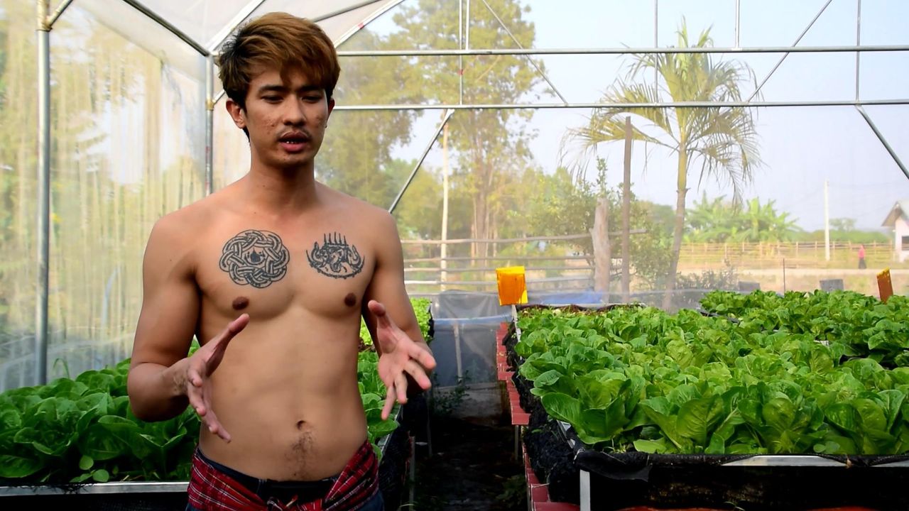 ล่ำสัน เหมาะกับการเกษตร